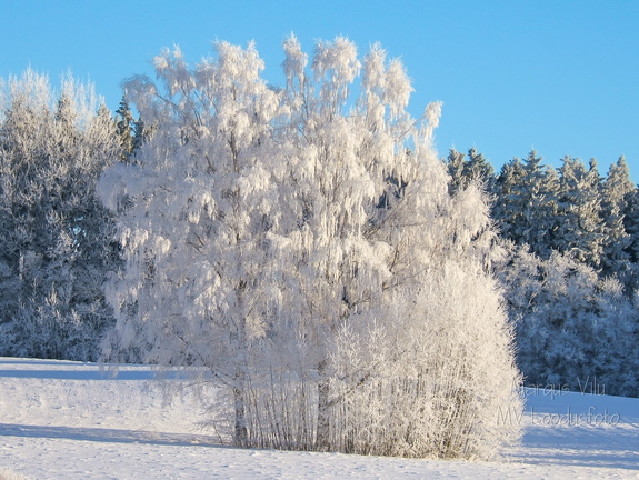 Külmataadi kätetöö