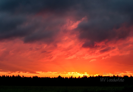 Tumedate pilvedega veripunane taevas