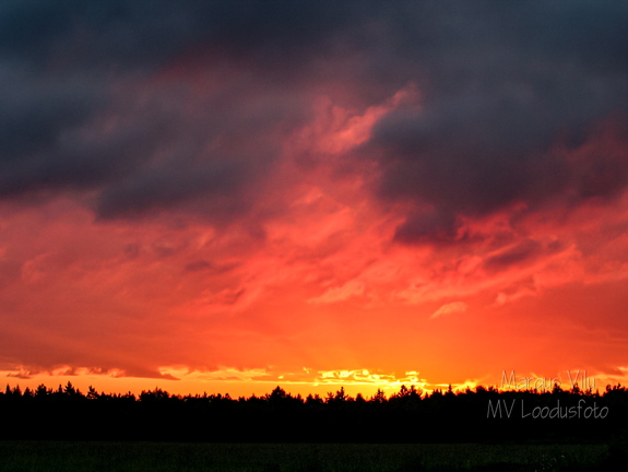 Tumedate pilvedega veripunane taevas