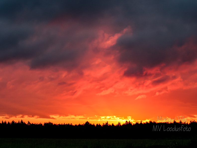 Tumedate pilvedega veripunane taevas