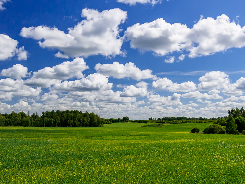  Pilvetupsudega roheline maastik