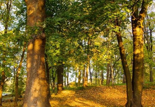  Salajane peidupaik Kadrioru pargis