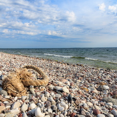 Köis kivisel rannal