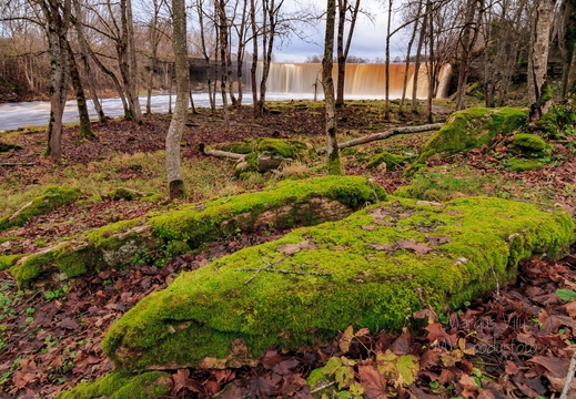 Jägala juga ja sammaldunud kivid