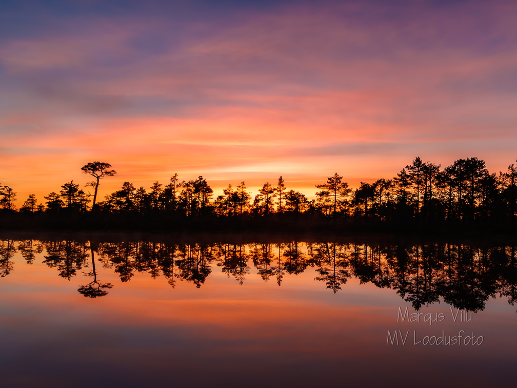   Päikeseloojang rabas