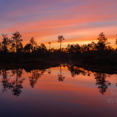  Päikeseloojang rabas