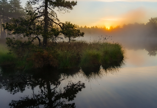    Päikesetõus uduse raba lauka juures