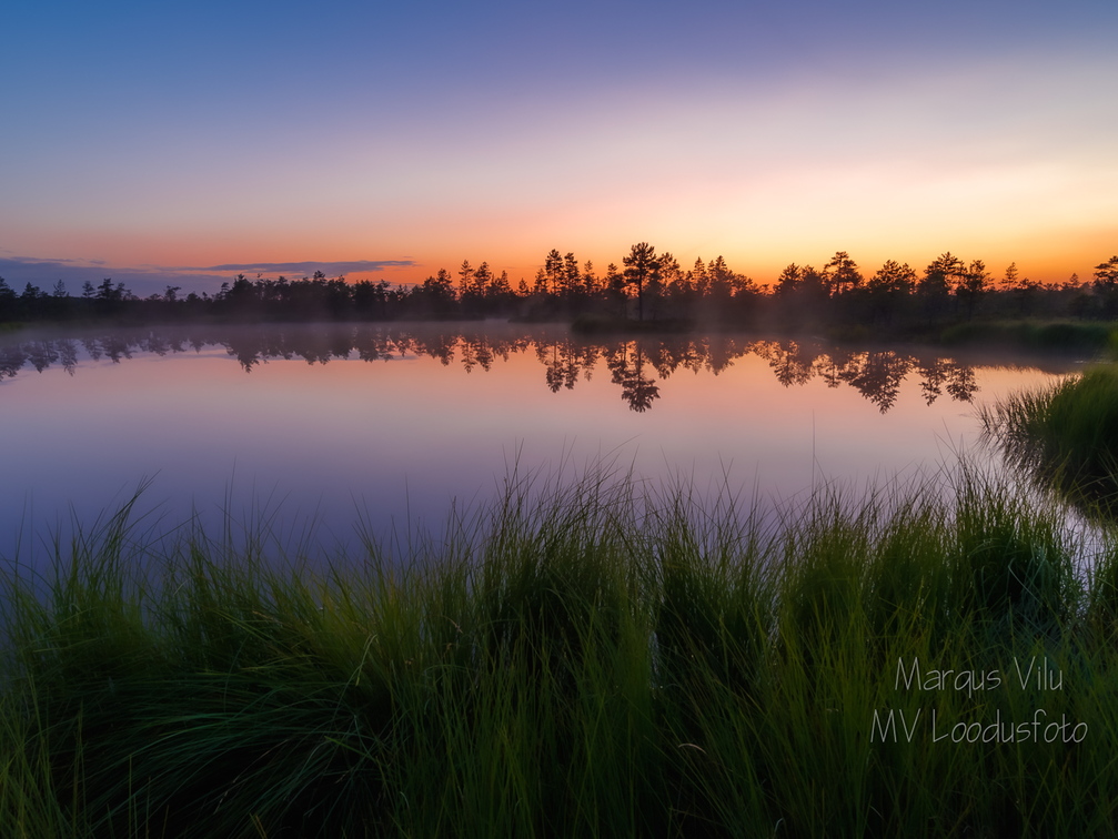  Laugas või väike rabajärv?