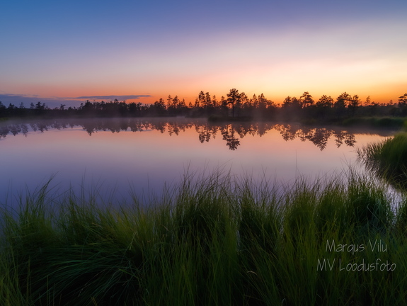  Laugas või väike rabajärv?