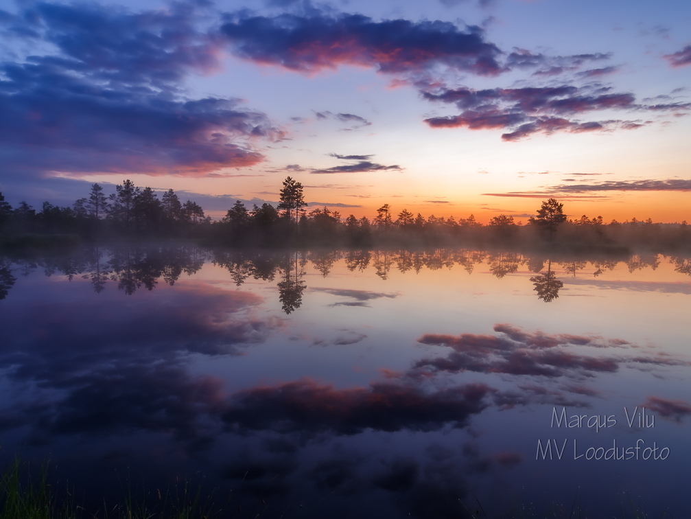  Tulemas on ilus päev