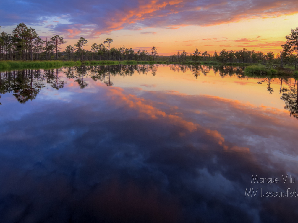 Õhtuse taeva värvid laukas