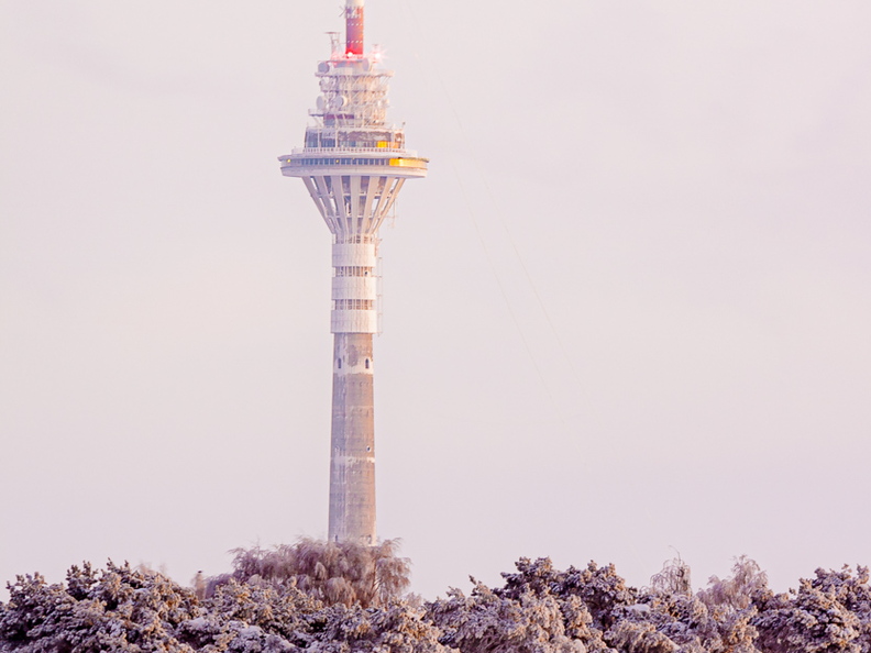 Tallinna tuletorn talvise metsa taga