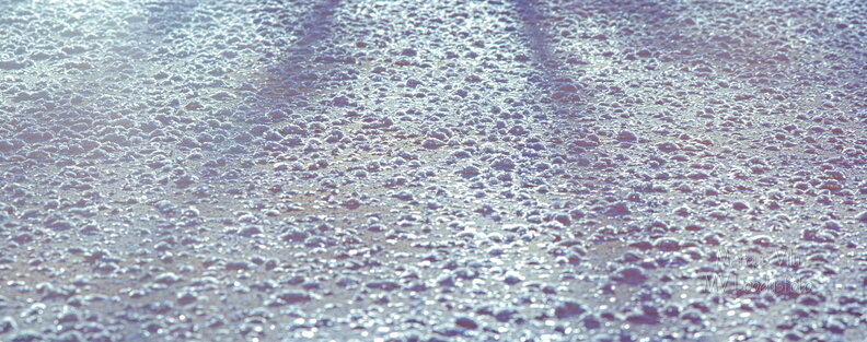 IMG_5634_IMG_5639-6 images.jpg