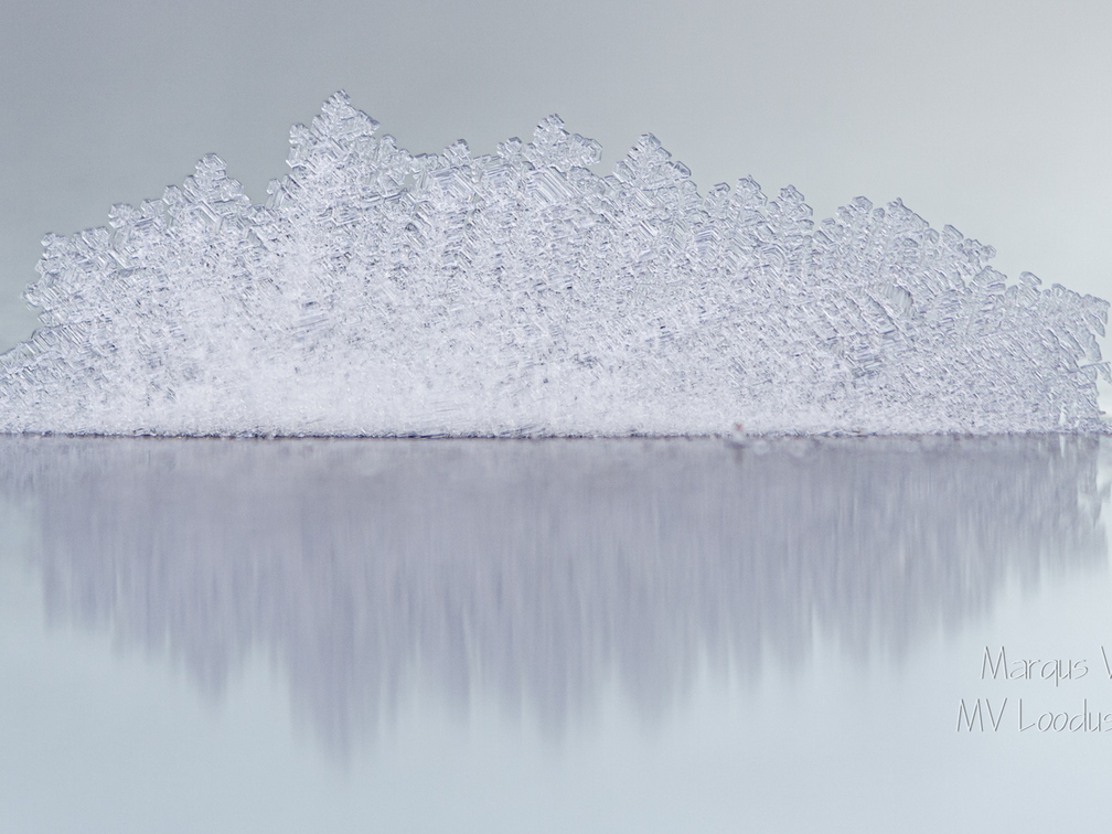 Jäälille peegeldus