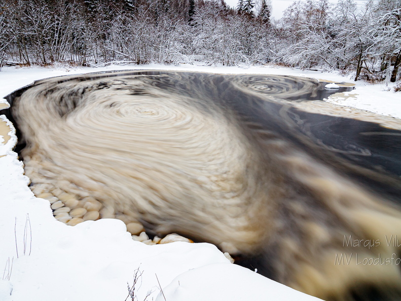 Jäätaldrkute pöörised