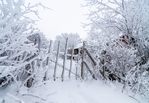 Vana ja härmas värv