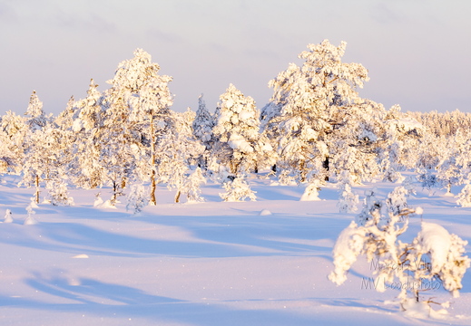 Lumest täitsa lookas