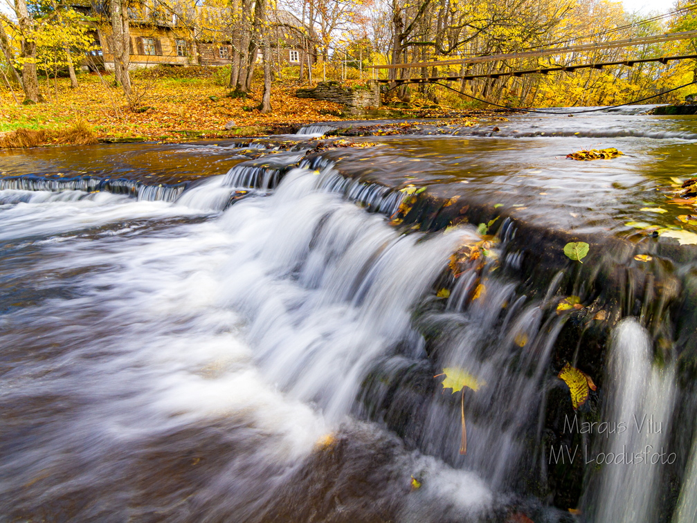 Joaveski joastik sügisel