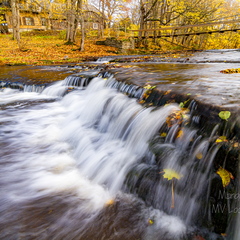  Joaveski joastik sügisel